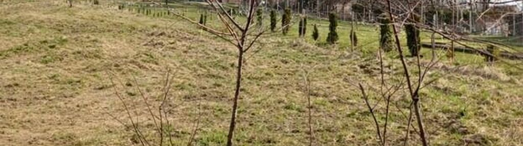 Działka 878 m2 - spokojna okolica krosna.