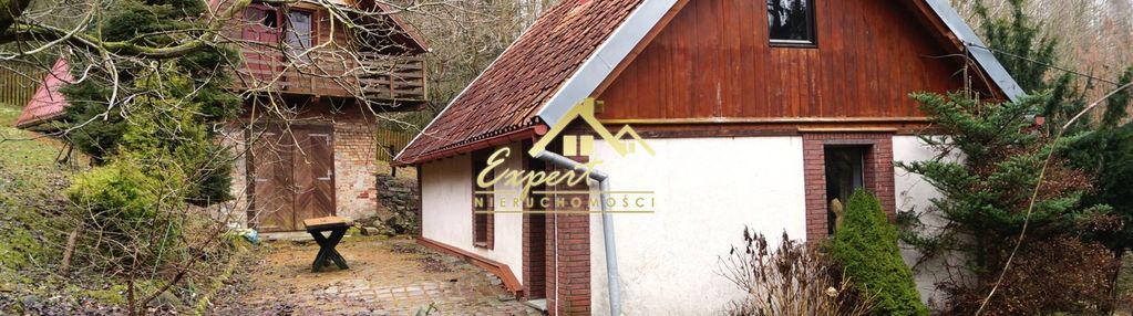 Sprzedam urokliwe siedlisko w środku lasu