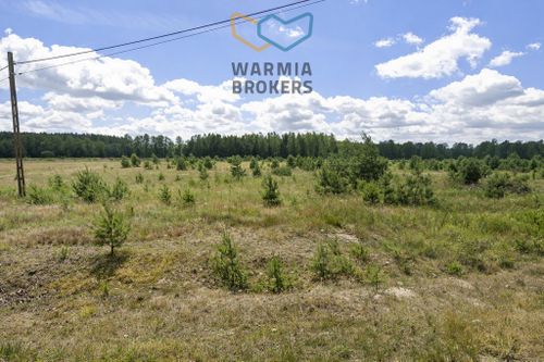 Działka z wydanymi warunkami zabudowy - media, las