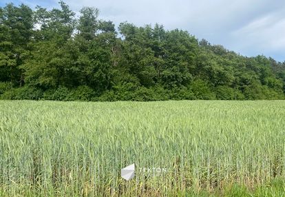 Jedyna_działka budowlana, uzbrojona, pod lasem