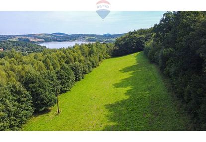 Zielony azyl w otoczeniu natury