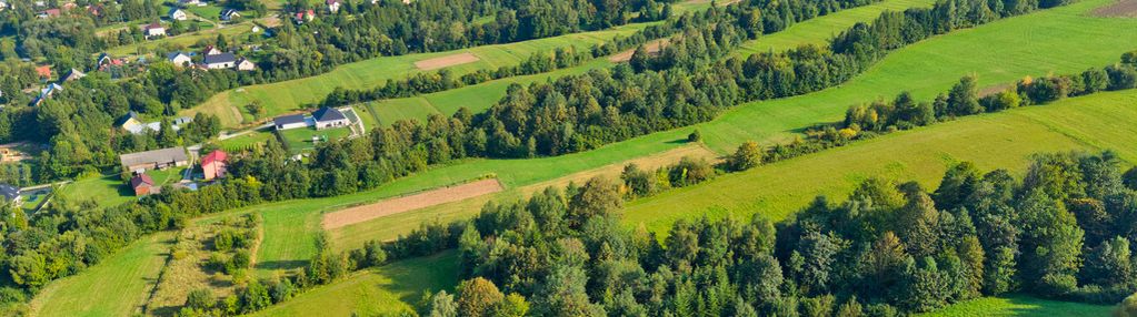 ⭐wyjątkowa działka inwestycyjna (1,78 ha)⭐bogusza