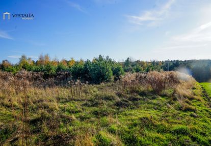 Działka z potencjałem, jura krakowsko 