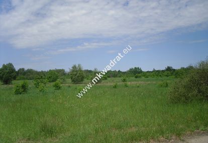 Oaza ciszy i spokoju