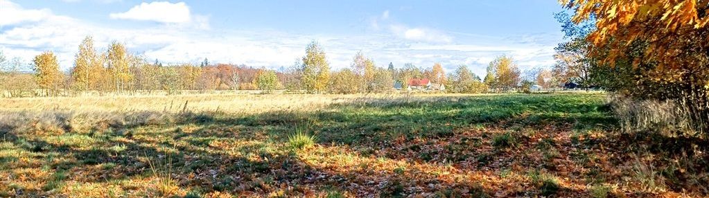 Działka rolna z potencjałem zabudowy