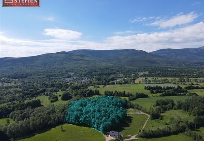 Działka z lasem w karkonoszach