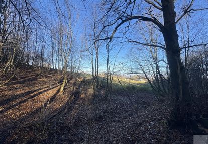 Przemyśl kruhel wielki działka leśna na sprzedaż