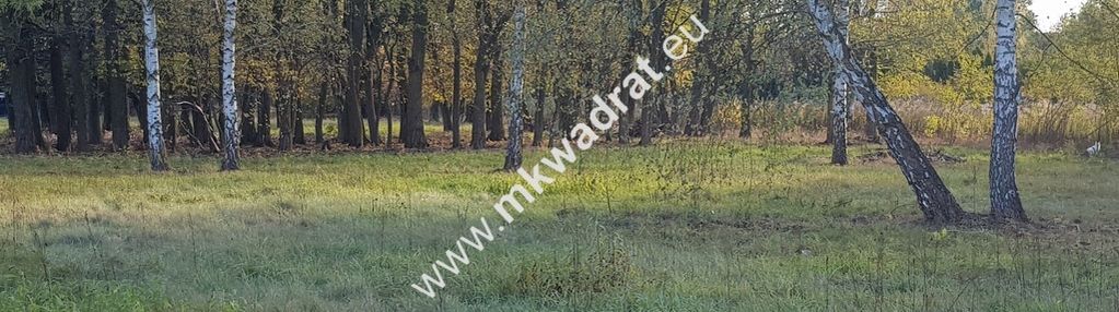 ⭐⭐⭐⭐ makówka obok czrnego lasu na dom 2 lokal⭐⭐⭐⭐