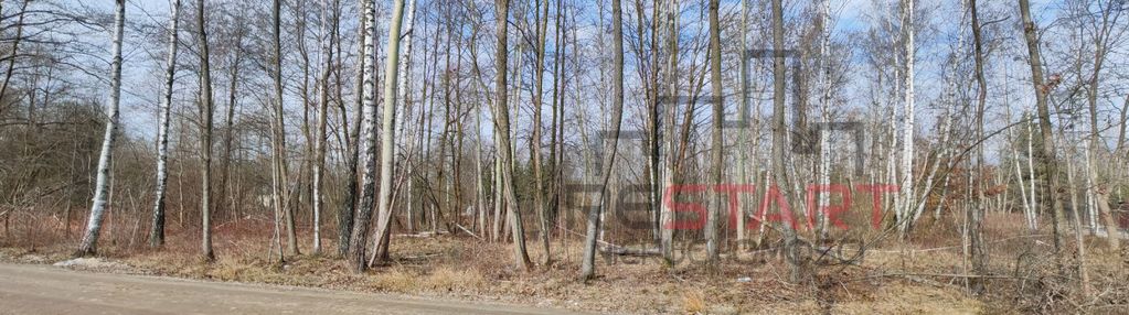 1500 m² pod dom  - czarny las |