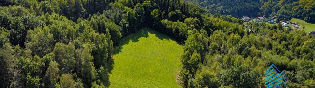 Działka| 1 ha | łąkta górna
