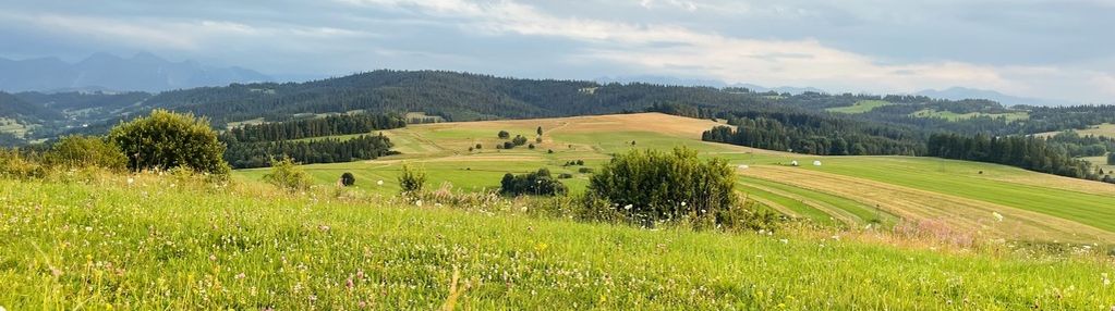 Działka rolna- łapsze wyżne- nowy targ- podhale