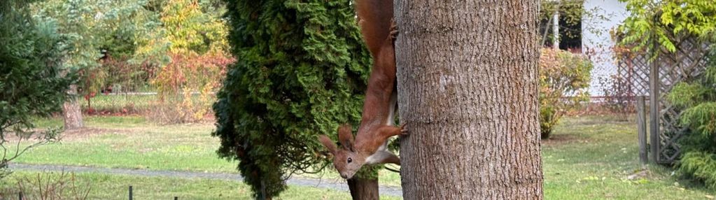 Działka z domem do rozbudowy konstancin - jeziorna