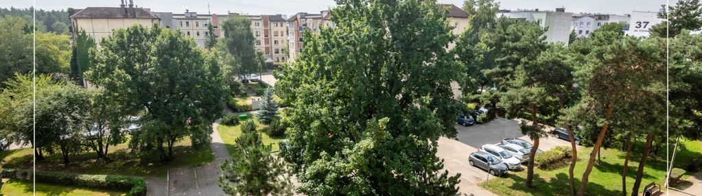Piątkowo, top lokalizacja przy kampusie morasko