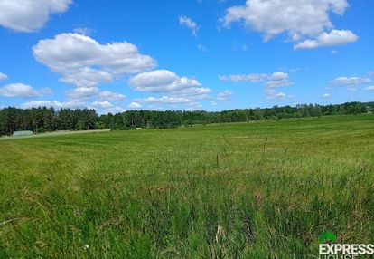Wśród łąk i lasów.