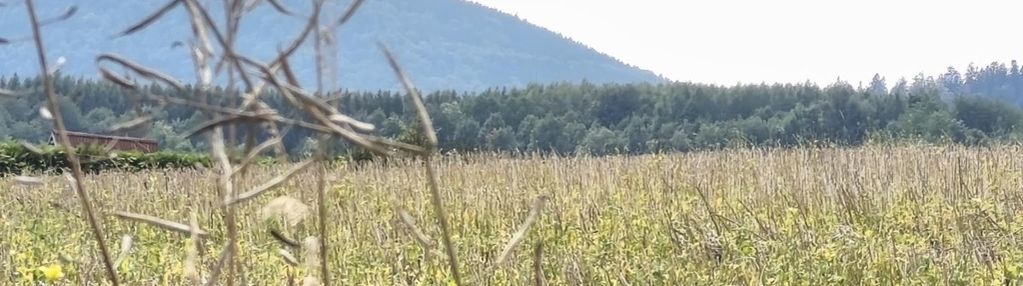 Ostatnia działka, koniec drogi, warunki zabudowy