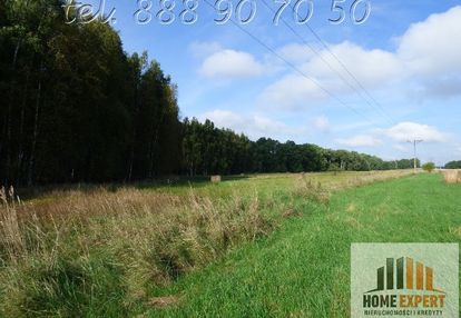 Atrakcyjne działki trójca koło zgorzeleca