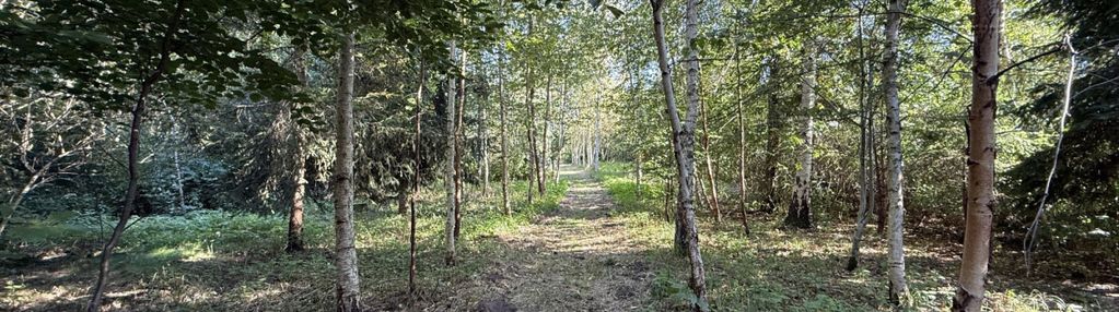 Działka 2 500 m² z domem i lasem – myszków