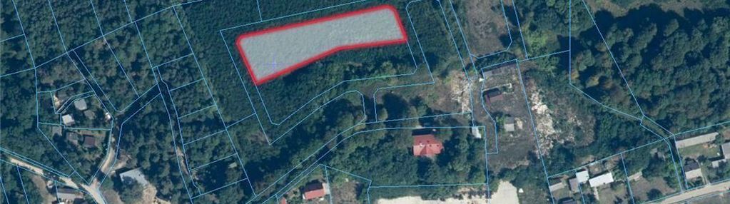 Działka budowlana 3 194 m2 zakościele nad pilicą