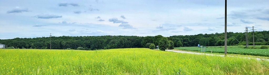 Działka mr/u, droga wojewódzka