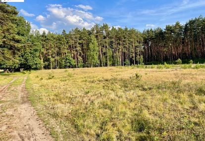 Działka w lesie z prawem zabudowy!