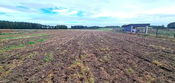 Działki siedliskowo/hodowlane 75m od jeziora!