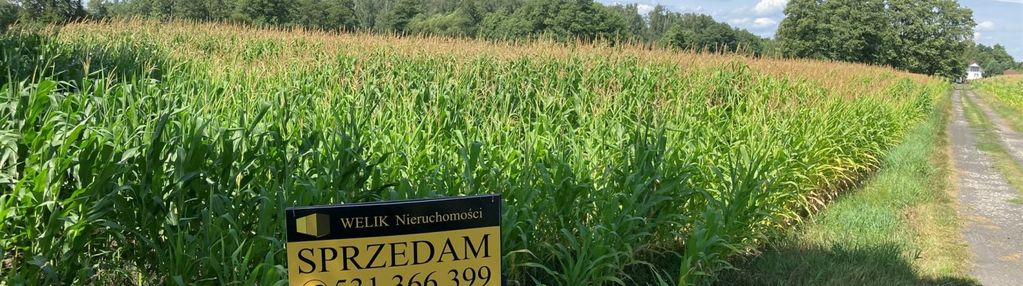 Działka inwestycyjna pod zabudowę jednorodzinną