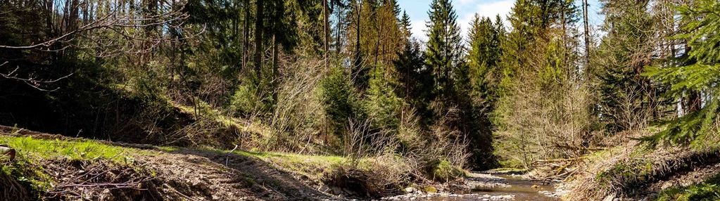 Działka przy lesie i strumyku | jaworzynka