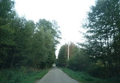 Działka 7187 m2