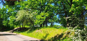 Biskupin działka na nowy dom