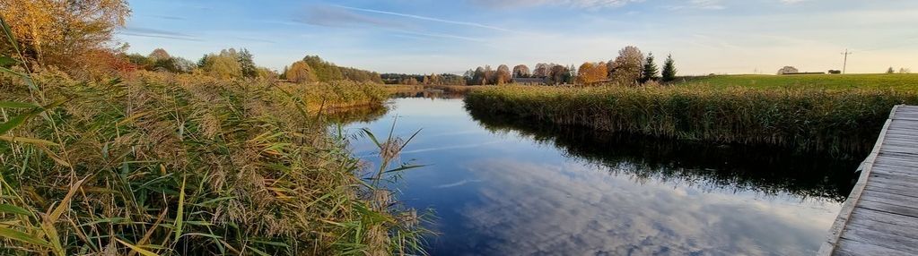 Działka nad czarną hańczą, buda ruska