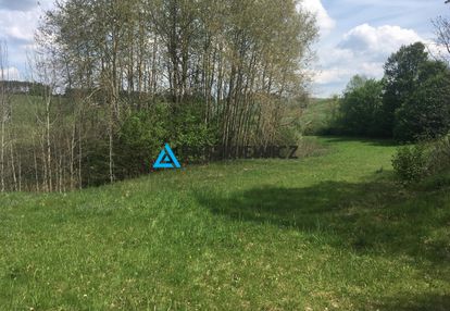 Działka skorzewo 4,62 ha