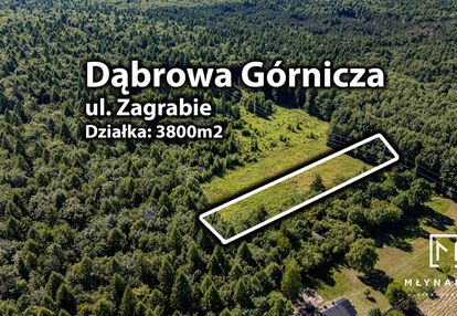 Uzbrojona działka budowlana w środku lasu! okazja!