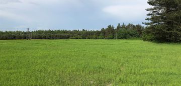 Działki budowlane w rabinówce! natura 2000!