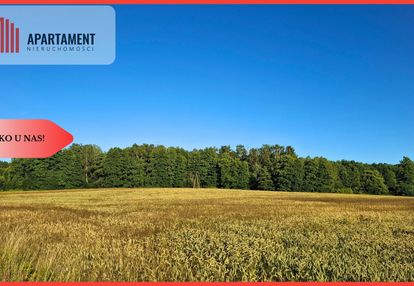 Budowlane 112zł/m2 nekla niedaleko jeziora borówno