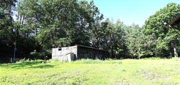 Działka budowlana  w otoczeniu lasu koło torunia