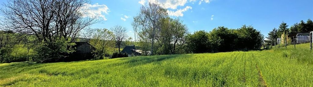 Działka budowlana grzegorzowice wielkie pow. 15,6a