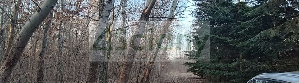 Ojrzanów, działka przy lesie