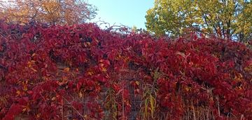 Działka pod 4 lokale i usługi