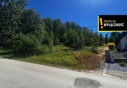Działka leśna z potencjałem zabudowy – 5810 m²