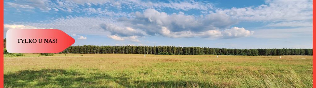 Działka budowlana w okazyjnej cenie! blisko piły.