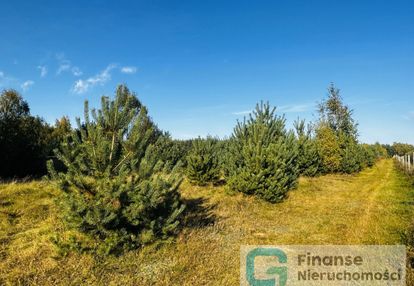 Działka rolno-budowlana 8800 m2, żurawka