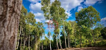 Magdalenka! działka 20 ar, w lesie, ze strumykiem