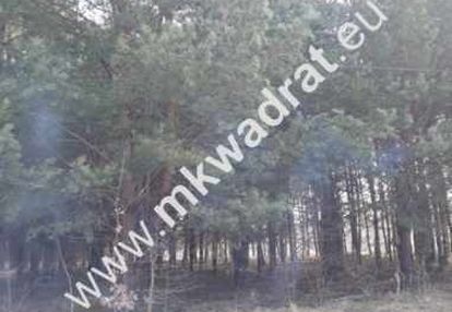 Możl podziału na 2 | okazja! | objęta mpzp | super