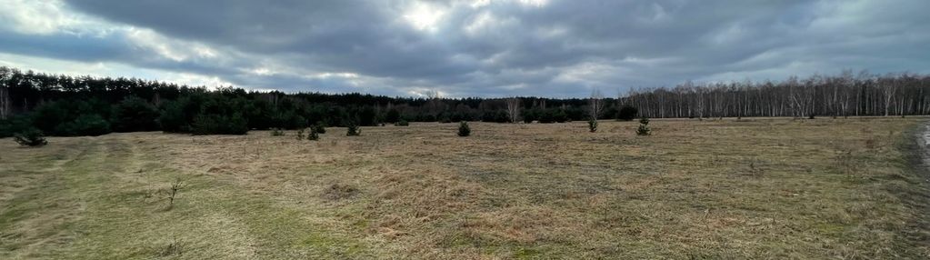 Arciechów - kształtna działka pod lasem