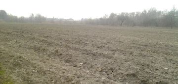 3,38 ha w okolicy zalesia gm. chodecz