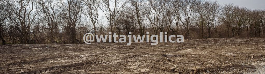 Działka budowlane we wsi kryniczno
