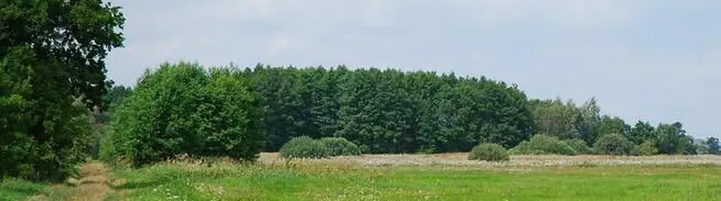 Działka na sprzedaż 4800m2