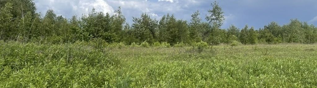 Atrakcyjna działka inwestycyjna 999 m² media mpzp.