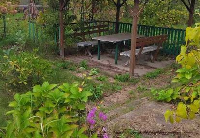 Działka rod w radomiu – potkanów, „pod skarpą”