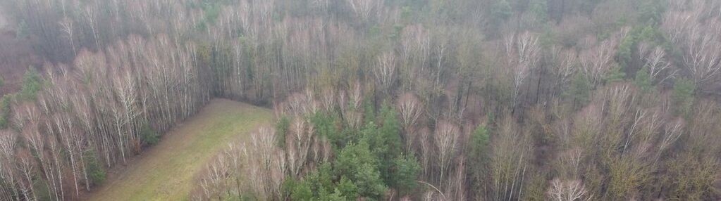 Działka z potencjałem 2268m2- stanisławów